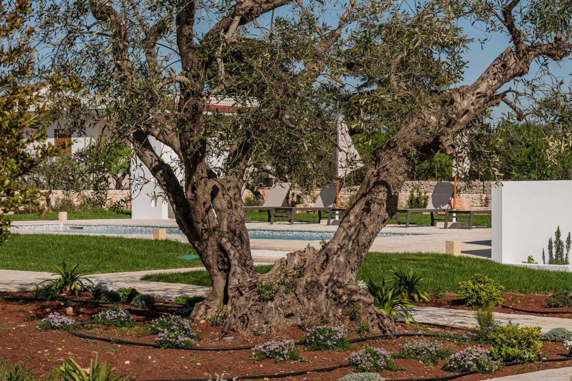 Trullo Jale - Boutique Apartments Остуни Экстерьер фото
